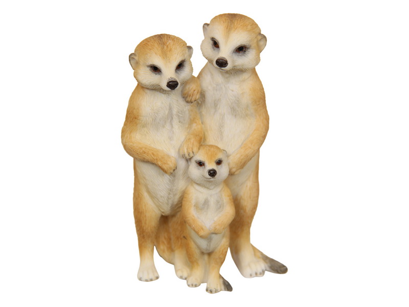 Meerkat Family Standing